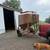 Grain bin 4 thumbnail