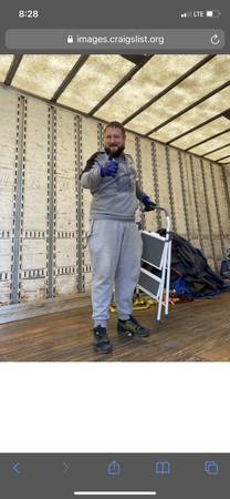 All around Handyman Prof. Treeman 1