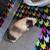 Guinea pig 2 thumbnail