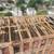 Restoration timber framing company seeking carpenters and a PM 9 thumbnail