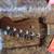 Fender USA Limited Edition American Professional Stratocaster Rosewood 5 thumbnail