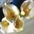 Pretty Flower Arrangement, 19 in. 5 thumbnail