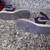 Jordan 1 7.5Y Girl's Shoes 5 thumbnail