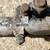 John Deere 314 Garden Tractor Steering Column 3 thumbnail