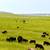 Versatile Cascade County Contiguous Acreage 21 thumbnail