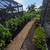 Landscape-Irrigation-Sod-Landscape lighting 23 thumbnail