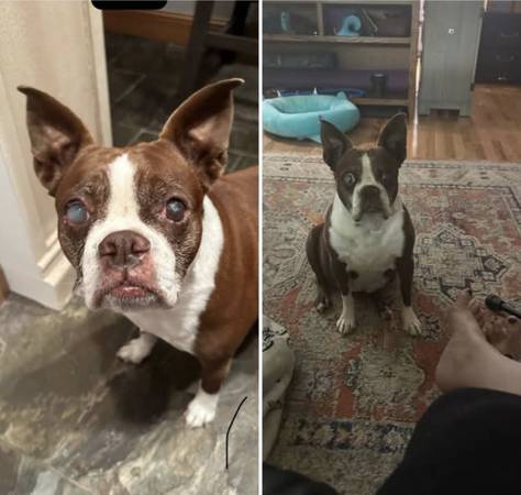 Sugar is lost ? (Sioux Falls)63887574178947120