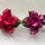 Napoli Dea Capodimonte Lot of 2 Porcelain Roses Fuchsia Pink and Red 2 thumbnail