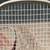Tennis ball racket racquet ball racket baseball kids 5 thumbnail