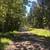 1/3 Acre lot for sale 2 thumbnail