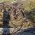 Antique Dump rake 3 thumbnail