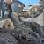 Westernstar flatbed 14 thumbnail