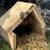 Cat Run in Shed 6 thumbnail