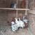 Chickens 4 thumbnail