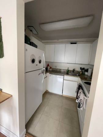 $1,750 ¡Estudio lindo en el centro! (Chicago)63898474850946122