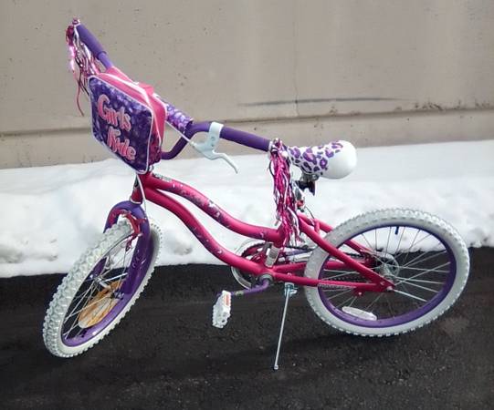 Like New 20" Girls Rule Dynacraft BMX Bike 1