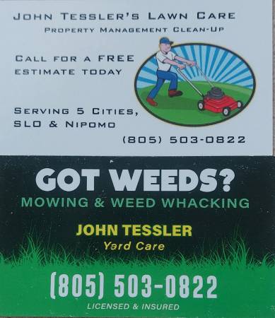GOT WEEDS ?  field mowing, amasticating of brush and coyote bushes 1