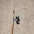 VINTAGE DAM QUICK NO.441N  SPINNING REEL WEST GERMANY 12 thumbnail