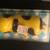 Vintage 1970's Swimming-Walking Dog, Wind-up, Yellow 7 thumbnail