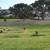 ★Forest Lawn GLENDALE Cemetery Plot ** SINGLE/DOUBLE Plots ** For SALE 14 thumbnail
