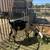 Goat male 2 thumbnail