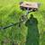 Small Harbor Freight Trailer With Dolly 2 thumbnail