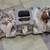 Intake Manifold 1 thumbnail