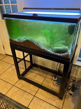 Fish aquarium no leaks (Bartlett)63839344964227120