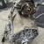 Transfer Case for Lexus GX470 1 thumbnail