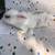 Holland lop/Mini lop for sale 3 thumbnail