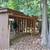 Express Tree Service/ Bush/,Demolition/Junk Removal/ 8 thumbnail