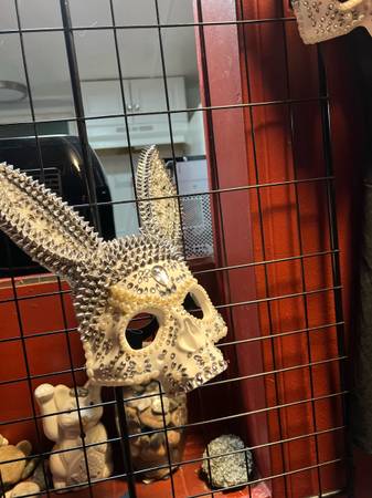 Complete costume with your choice mask 1