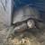 Help Save Our State Reptile and adopt a Desert Tortoise (No Fee) 4 thumbnail
