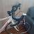 Cannondale caad 8 sm 48cm like new $300 4 thumbnail
