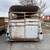 bumper pull stock trailer 1 thumbnail