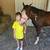 Gelding 11 yr old grade paint 2 thumbnail