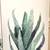 CANVAS WALL ART Decor Pictures Watercolor Prints Succulent Plants Cactus Set/3 4 thumbnail