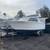 1995 Bayliner 24ft 13 thumbnail