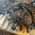 🚨 2009 - 2013 Honda Fit - AUTOMATIC TRANSMISSION - #F34823 🚨 NOW: 2 thumbnail