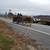 15 hand Haflinger team 5 thumbnail
