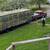 Two-Tie Timothy Hay Delivered & Hand stacked 2 thumbnail