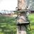 Climbing stand 4 thumbnail