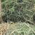 Small square grass horse hay bales 3 thumbnail