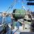 42' Fishing Vessel, Currently Fishing for Mantis Shrimp 4 thumbnail