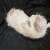Ragdoll kitten 1 thumbnail