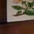 vintage Franciscan Desert Rose Dinnerware 18 thumbnail