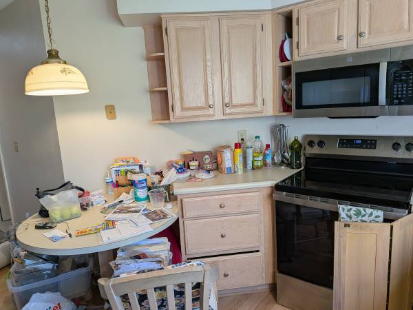 Kitchen cabinets 1