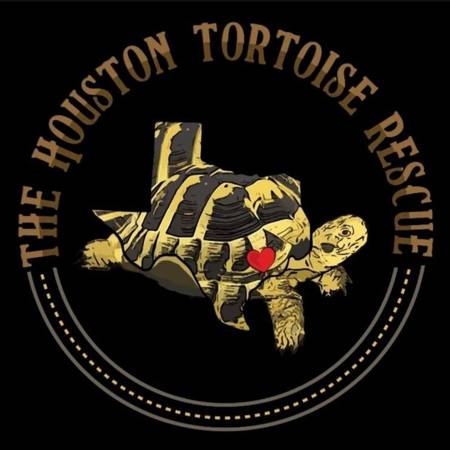 Houston Tortoise Rescue (Houston)63859316407681120