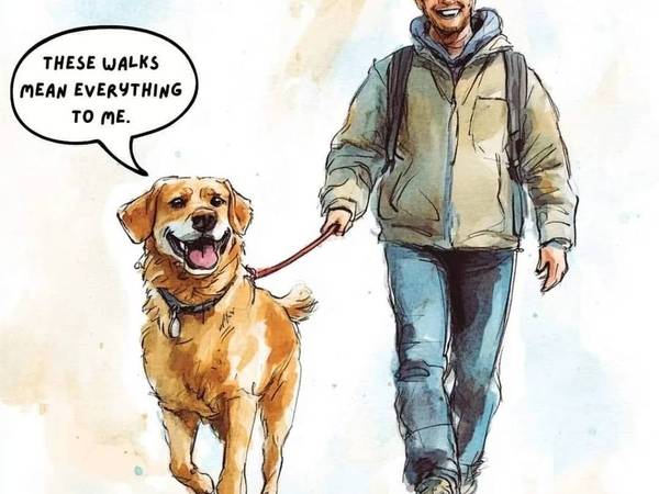 Dog Walking Services 1
