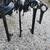 16" SPIDER art metal tools mechanic steampunk figure insect 9 thumbnail
